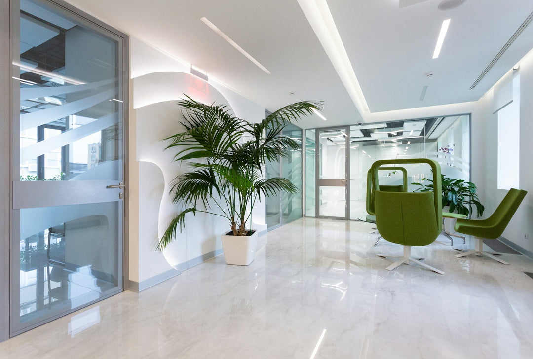 Large Office Plants Ireland: Tall Floor Plants for Corporate Offices, Receptions & Breakout Spaces