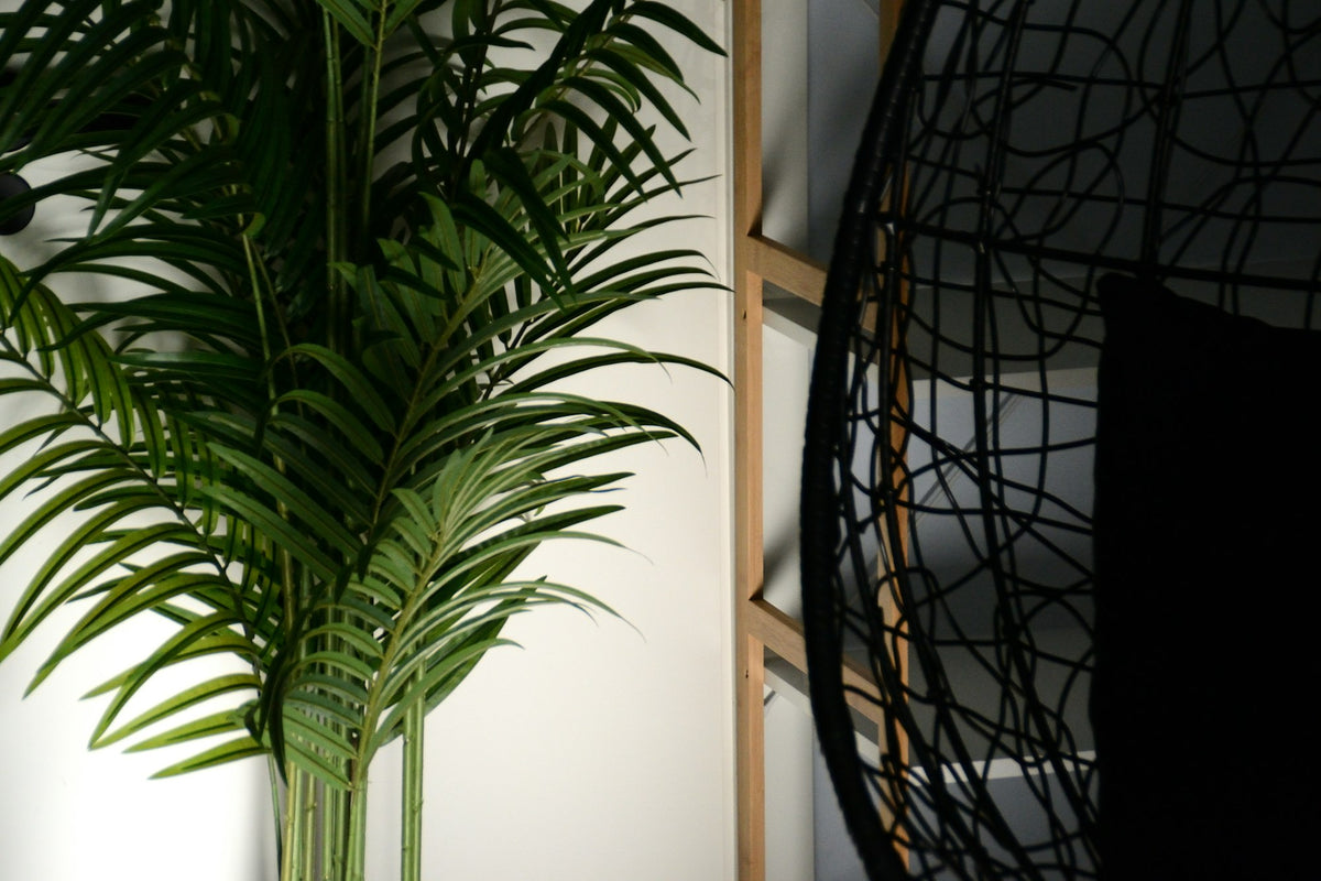 Arching green fronds of an indoor palm