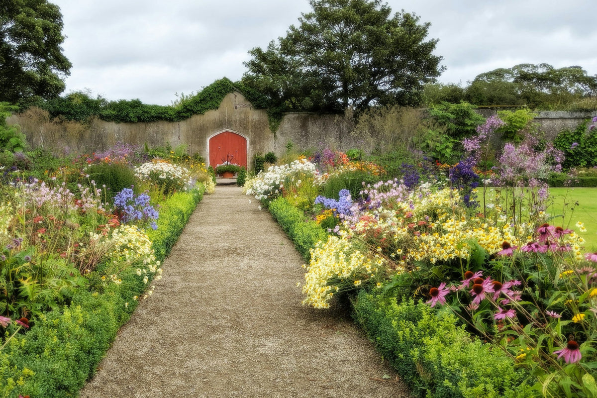 Plantes de jardin – vivaces, grimpantes, graminées et arbustes