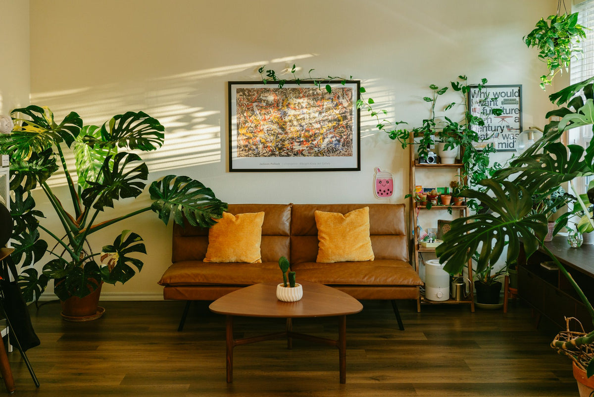 Softly lit living room with large leafy houseplants