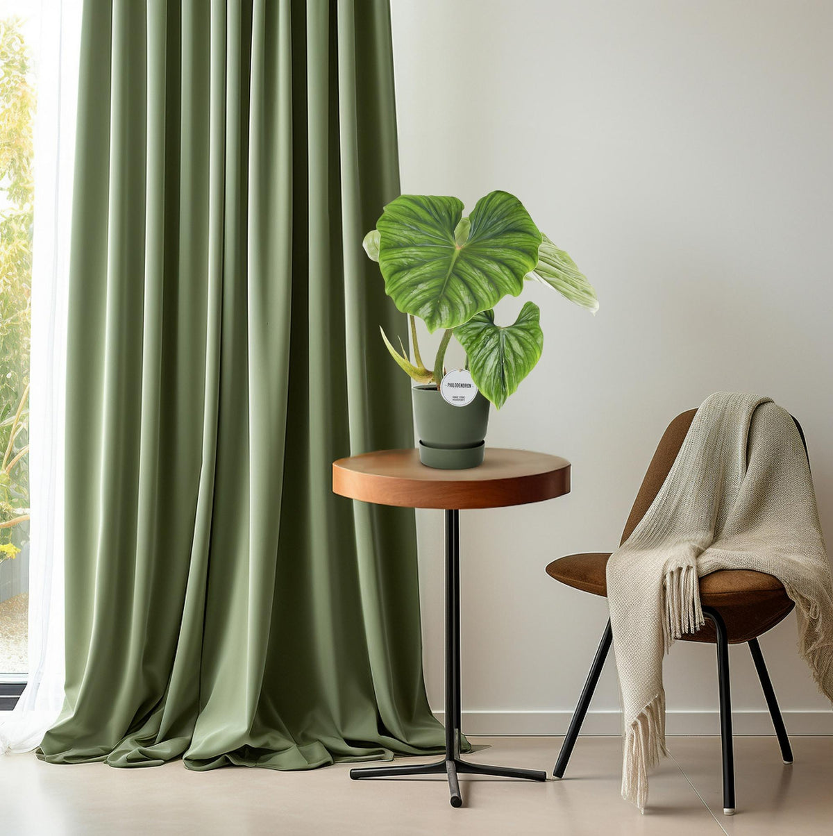 Plantes d'intérieur — Des plantes vertes pour chaque pièce