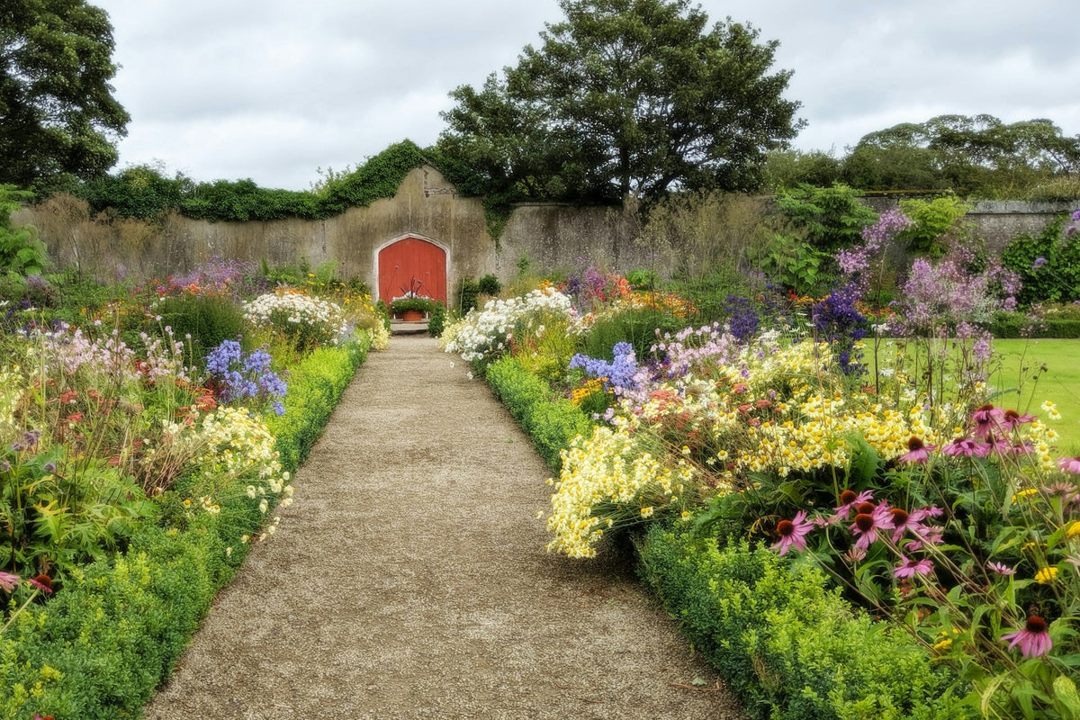 A garden path between layered perennial borders