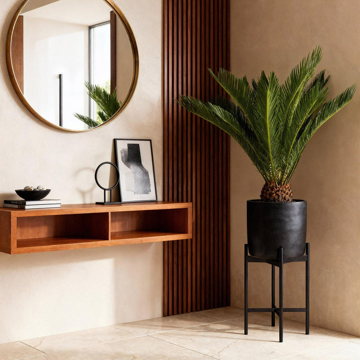 Sago Palm (Cycas revoluta), detail view 2