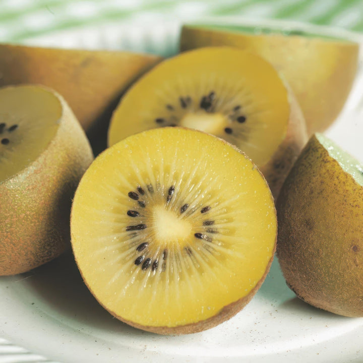 Hardy kiwi plants (Actinidia), view 6