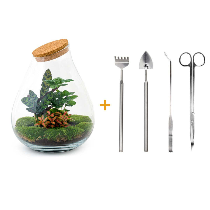 DIY terrarium - Drop XL Red - ↕ 37 cm - Rake + Shovel + Tweezer + Scissors