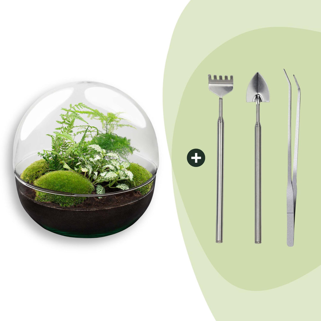 DIY terrarium - Dome XL - ↕ 30 cm - Rake + Shovel + Tweezer
