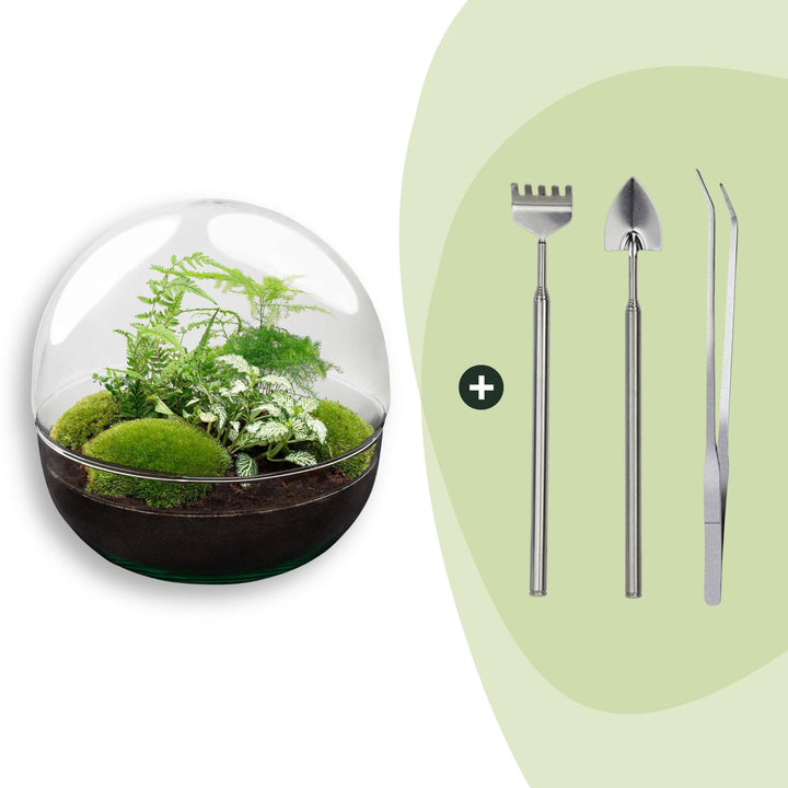 DIY terrarium - Dome XL - ↕ 30 cm - Rake + Shovel + Tweezer