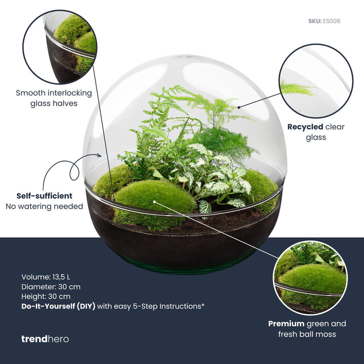 DIY terrarium dome by Everspring, 30 cm, clear recycled glass with green moss and ferns, no tools required.