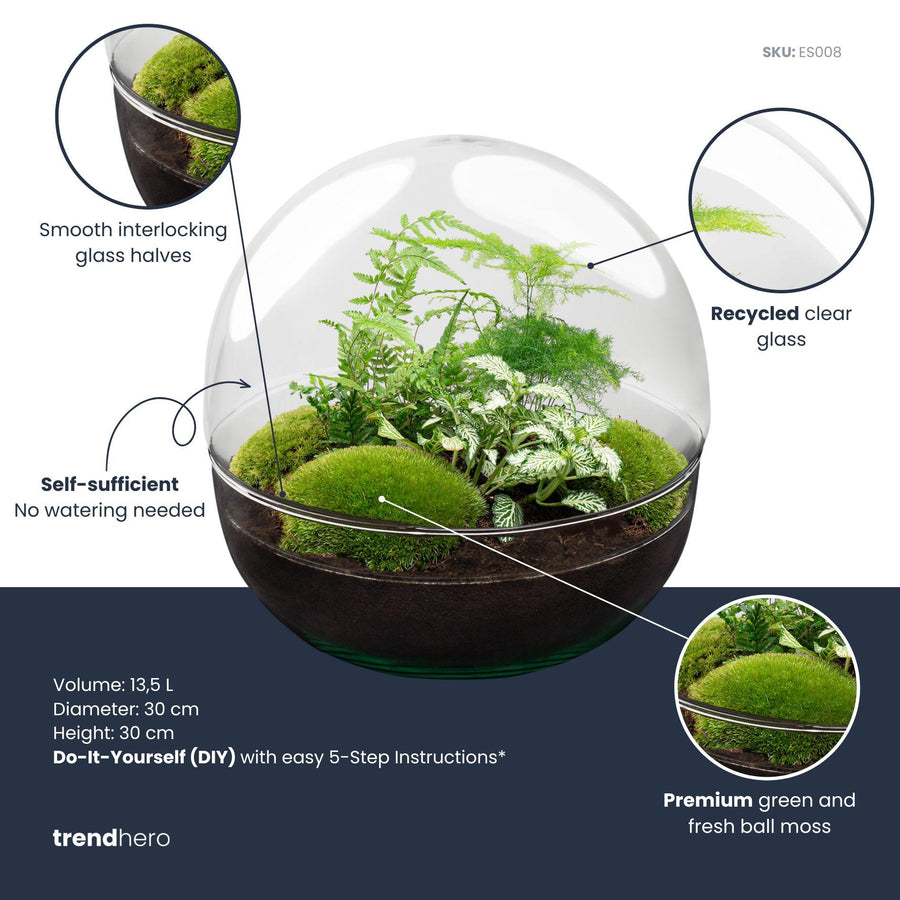 DIY terrarium dome by Everspring, 30 cm, clear recycled glass with green moss and ferns, no tools required.