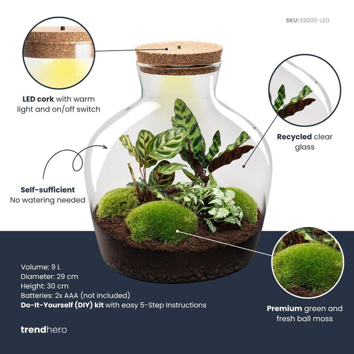 DIY terrarium -  Fat Joe - ↕ 30 cm - Rake + Shovel + Tweezer