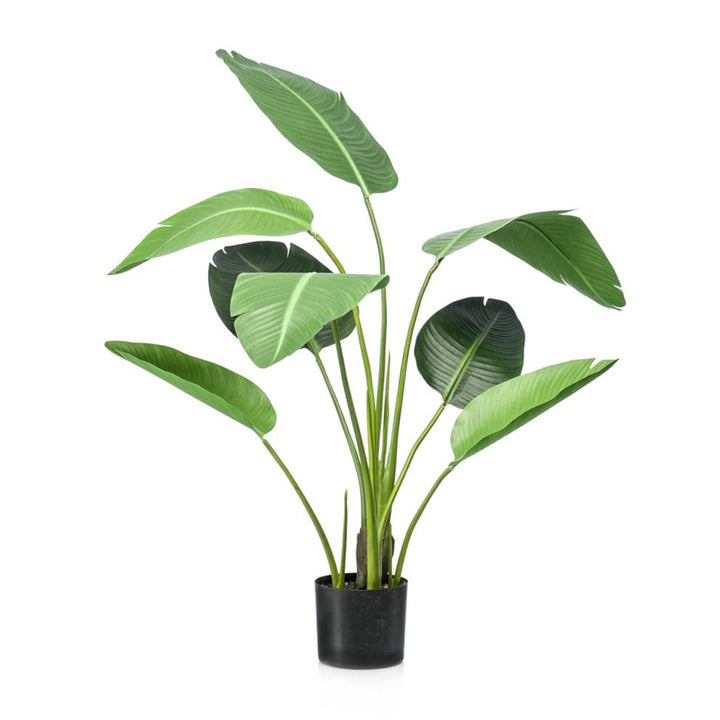Strelitzia artificial plant in a black pot, 120cm tall, featuring large green leaves.