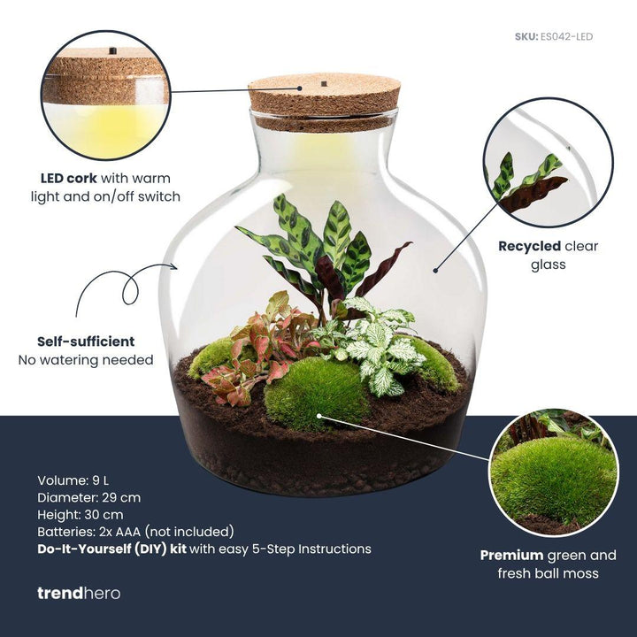 DIY terrarium - Fat Joe Red - ↕ 30 cm - Rake + Shovel + Tweezer + Scissors