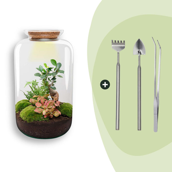 DIY terrarium - Sven Bonsai - ↕ 43 cm - Rake + Shovel + Tweezer
