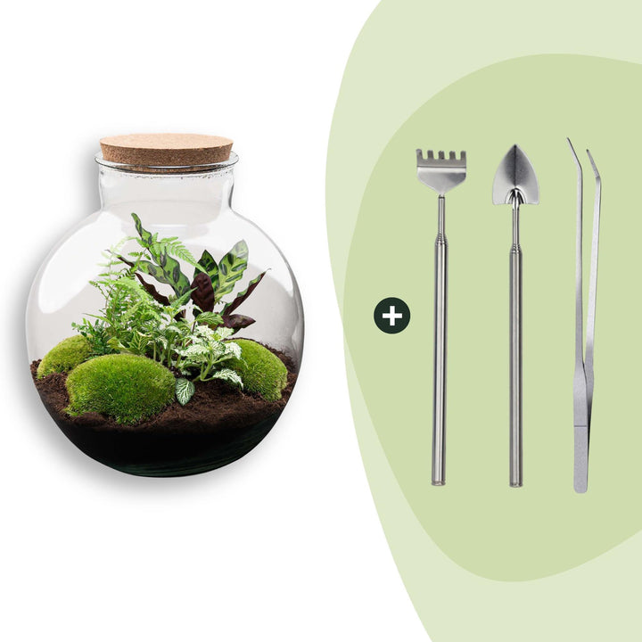 Bolder Bob DIY terrarium kit with cork, 30 cm high