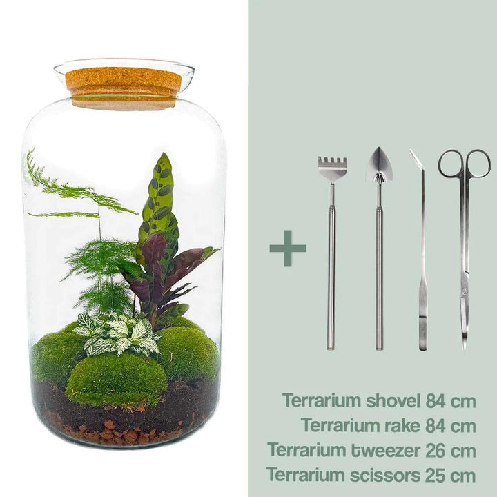 DIY Terrarium Kit Botanical Sven XL - Glass Bottle 43cm Cork Lid
