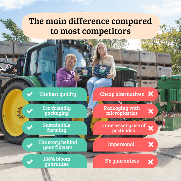 Super Tulip Mix - 100 Bulbs Sustainable Value Pack