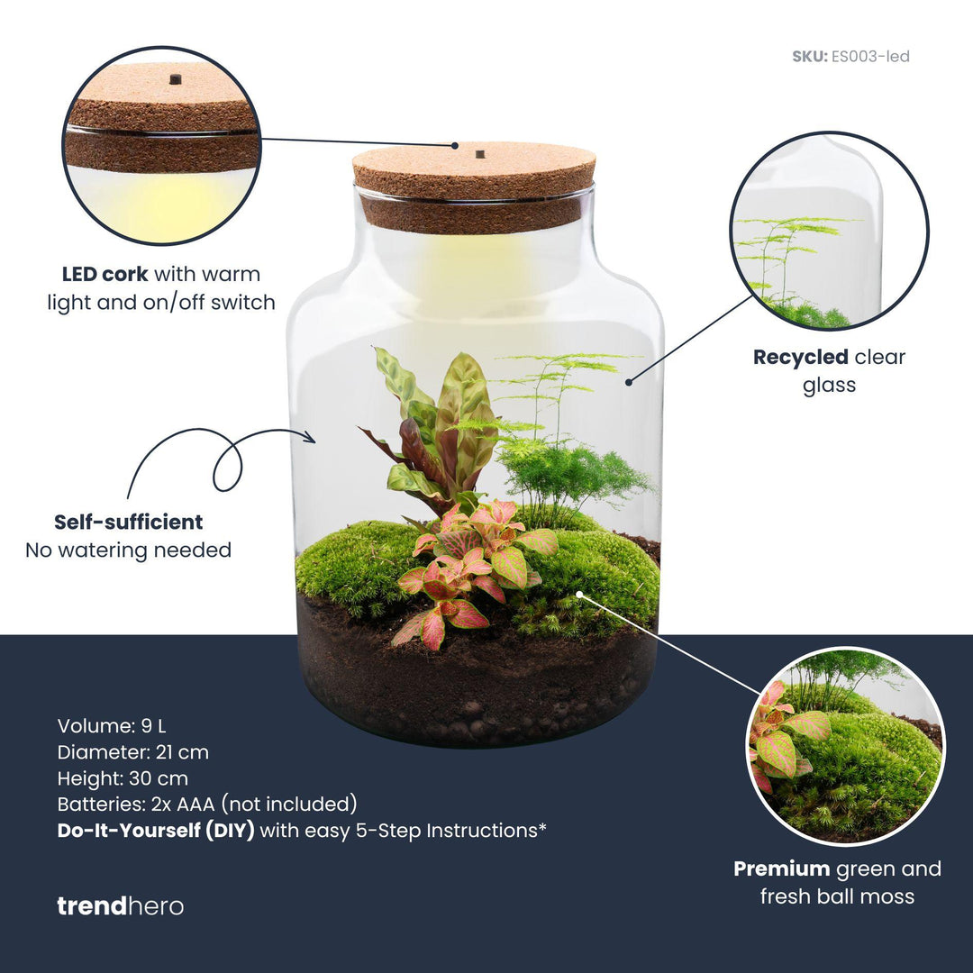 Milky DIY terrarium kit, 30 cm high, with plants and moss, image 3