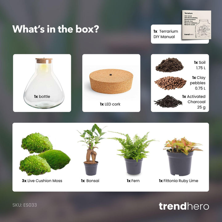 DIY Plant Terrarium with Light – Sam XL Bonsai – Ø30cm ↕32cm