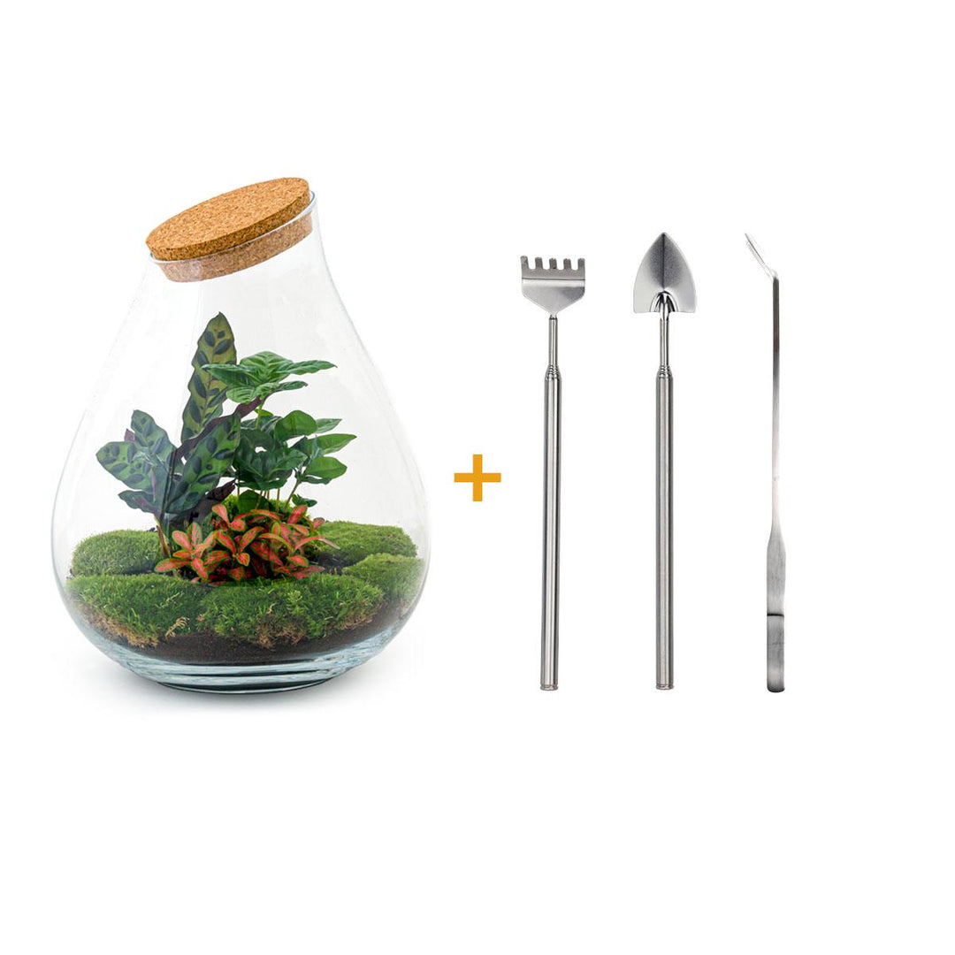 DIY terrarium - Drop XL Red - ↕ 37 cm - Rake + Shovel + Tweezer