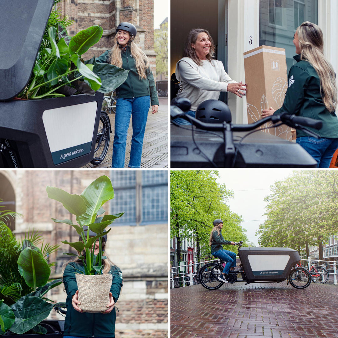 Outsider box - Ø12cm - 10x