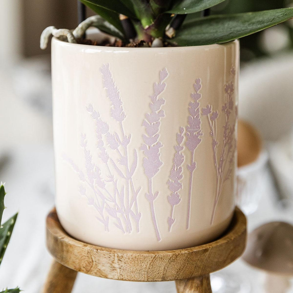 Pink orchid plant in lavender floral pot, Ø9cm, by Everspring, featuring detailed lavender design.