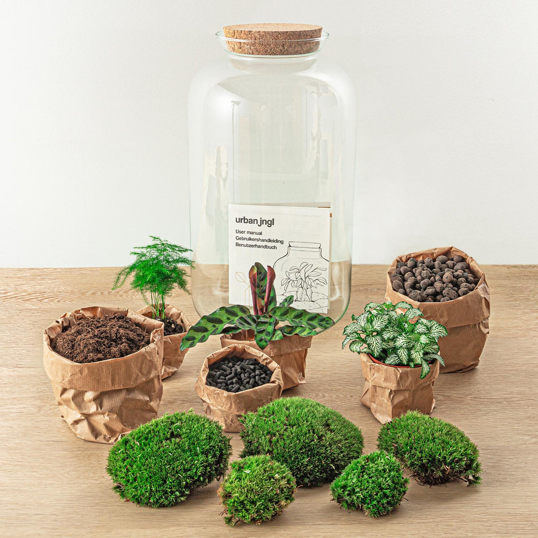 DIY Terrarium Kit Botanical Sven XL - Glass Bottle 43cm Cork Lid
