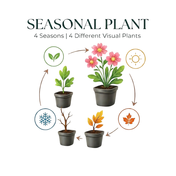 24x Polypodium vulgare - ↕10-25cm - Ø9cm