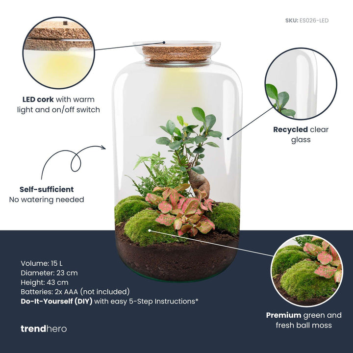 DIY terrarium - Sven Bonsai - ↕ 43 cm - Rake + Shovel + Tweezer