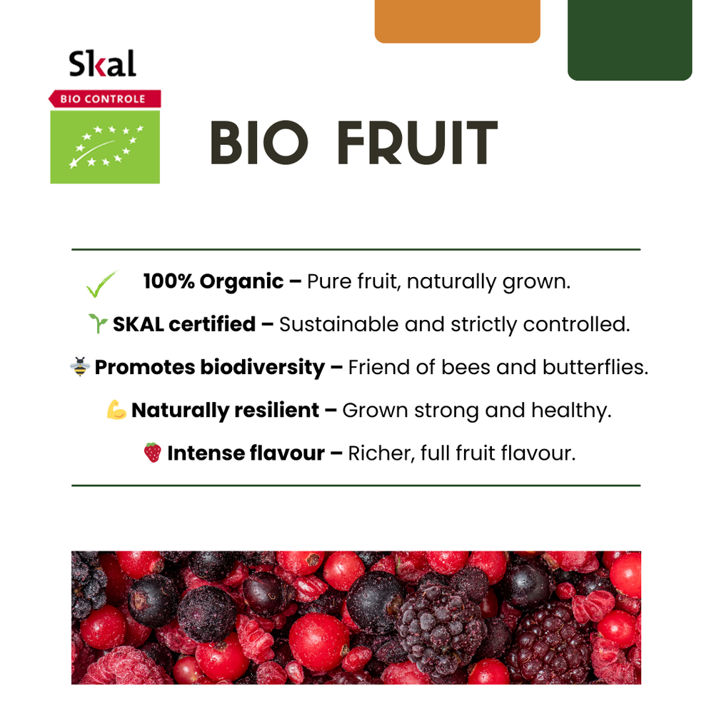 6 organic blackberry plants in 13 cm pots, 20 cm tall, by Everspring, promoting biodiversity and rich flavor.
