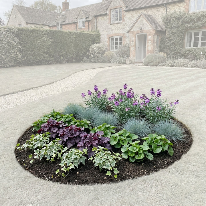 Perennial Border Package Prague — healthy root ball and nursery pot ready to ship from Ireland