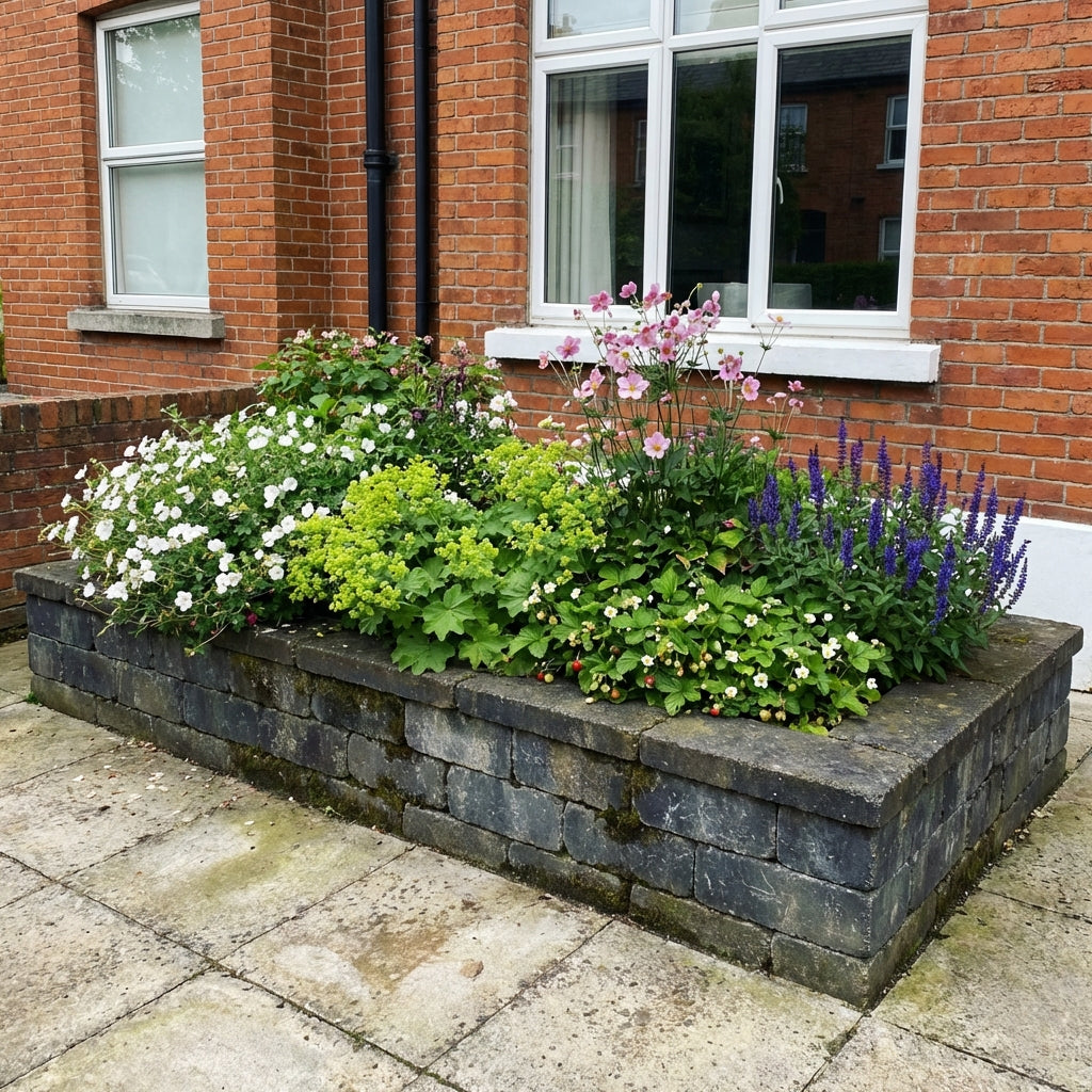 Perennial Border Package Copenhagen