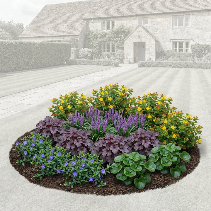 Perennial Border Package Bratislava — healthy root ball and nursery pot ready to ship from Ireland