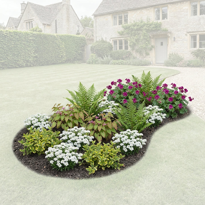 Perennial Border Package Madrid — healthy root ball and nursery pot ready to ship from Ireland