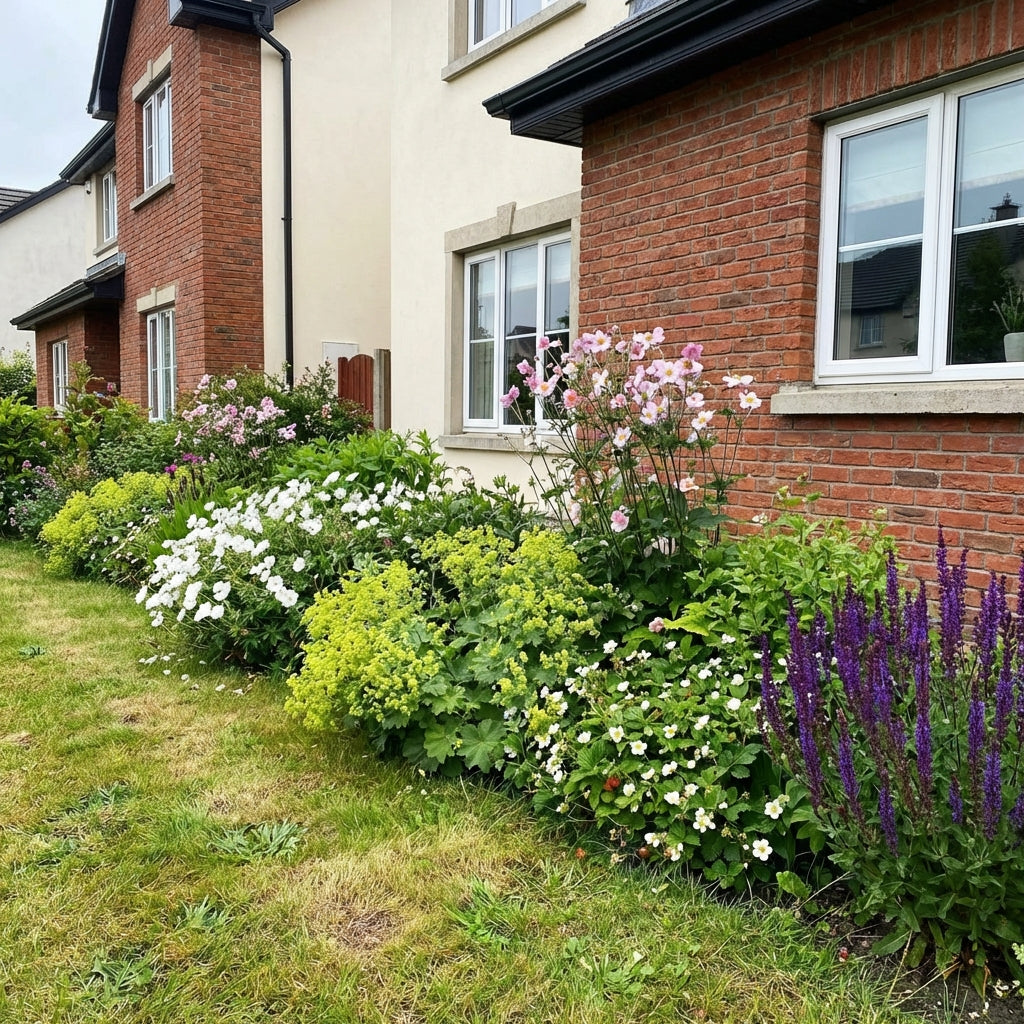 Perennial Border Package Copenhagen