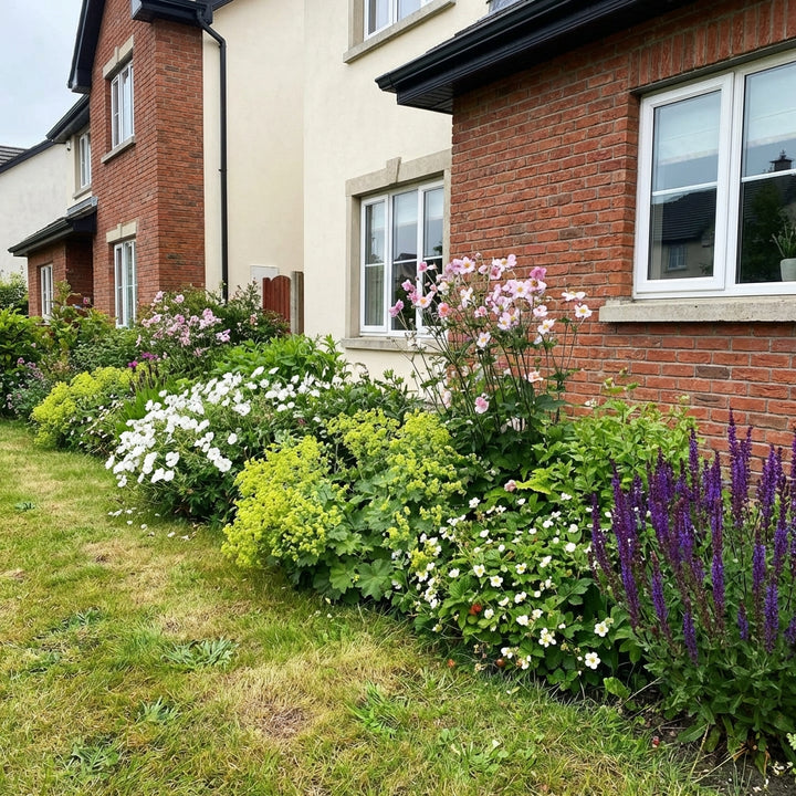 Perennial Border Package Copenhagen