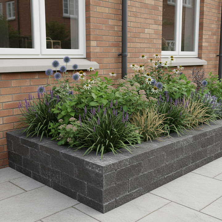 Perennial Border Package Athens styled in an Irish home interior