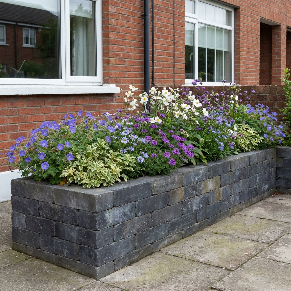 Perennial Border Package Berlin styled in an Irish home interior