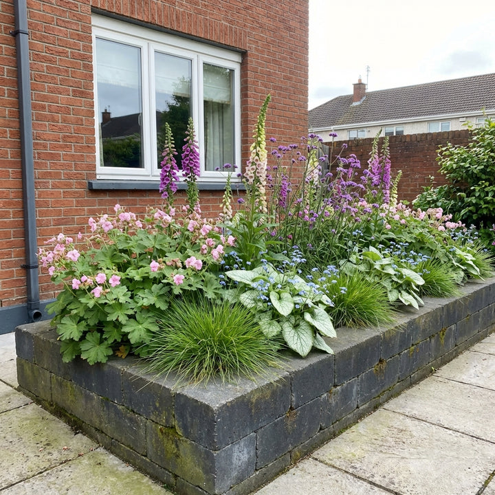 Perennial Border Package Lyon styled in an Irish home interior