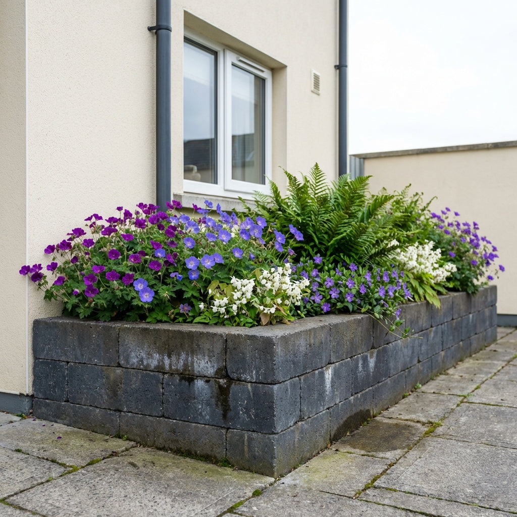 Perennial Border Package Rome styled in an Irish home interior