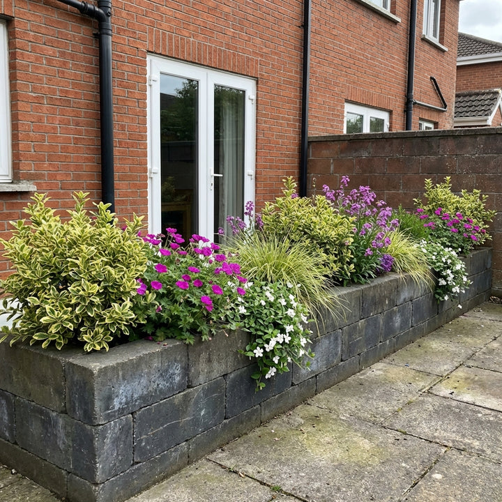 Perennial Border Package Frankfurt styled in an Irish home interior