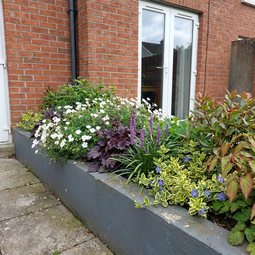 Perennial Border Package Rotterdam styled in an Irish home interior