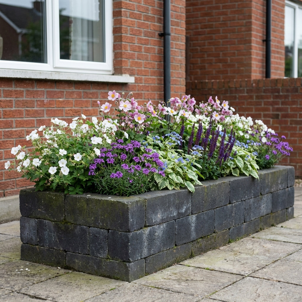 Perennial Border Package Salzburg styled in an Irish home interior