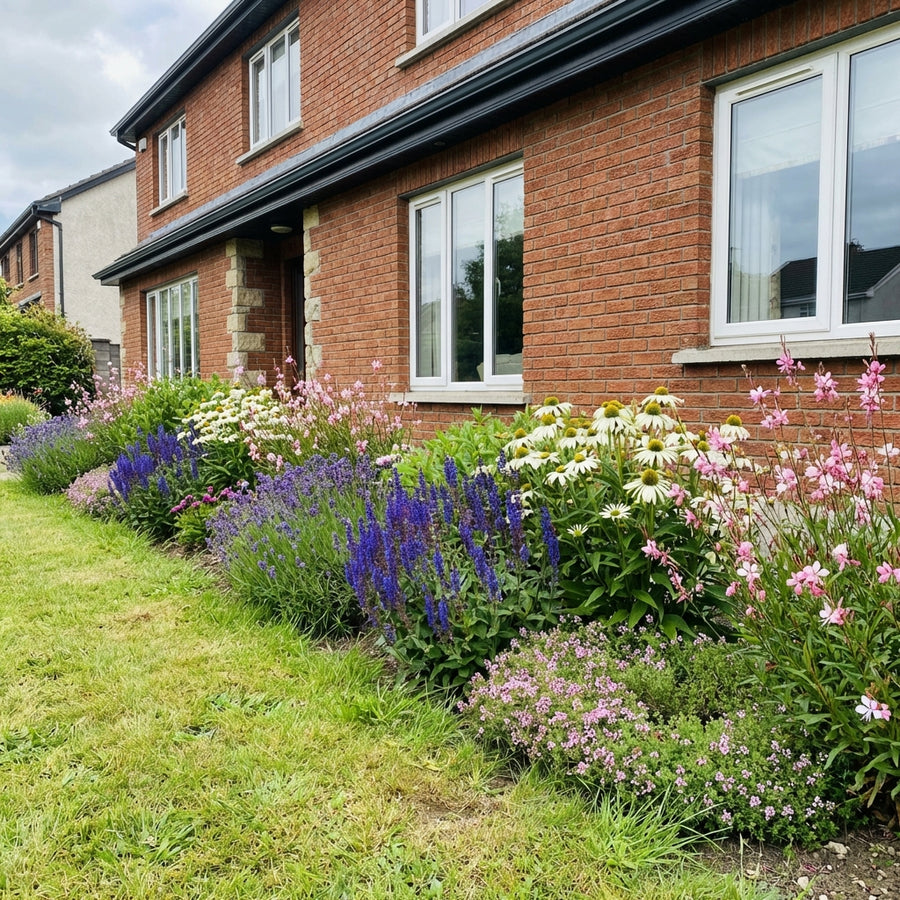 Perennial border garden with lavender, coneflowers, and phlox flowering against brick house