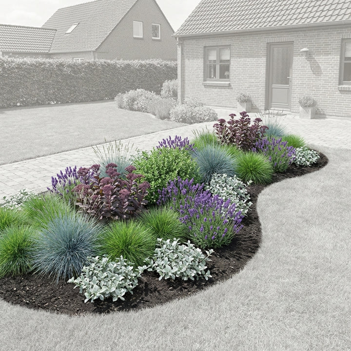 Perennial Border Package Marseille