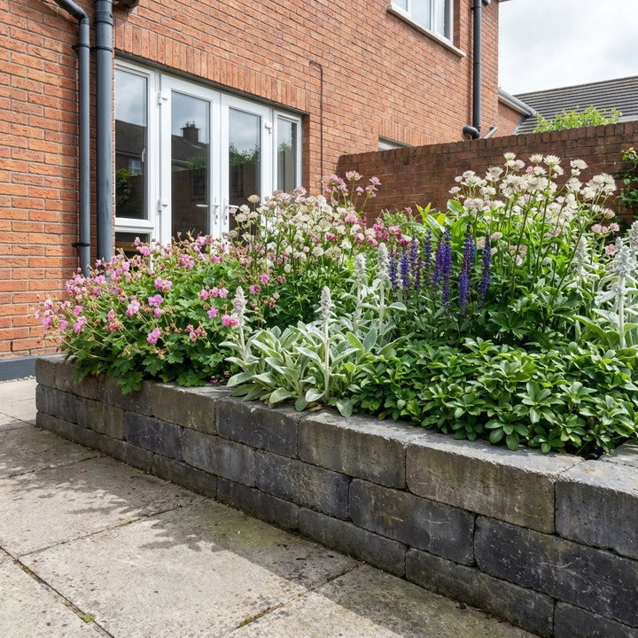 Perennial Border Package Brussels styled in an Irish home interior