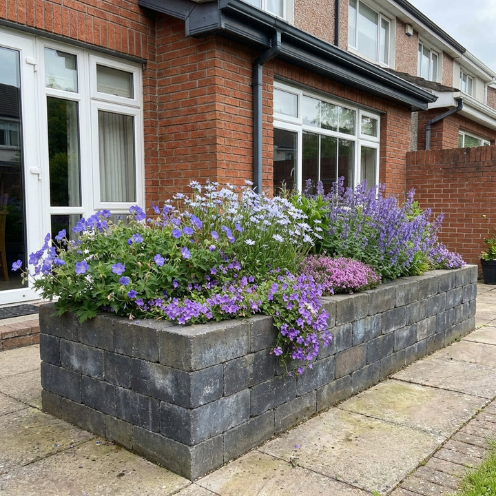 Perennial Border Package Dublin styled in an Irish home interior