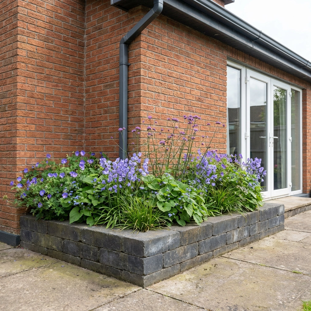 Perennial Border Package Stockholm styled in an Irish home interior