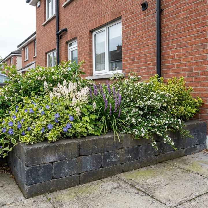 Perennial Border Package Cork styled in an Irish home interior