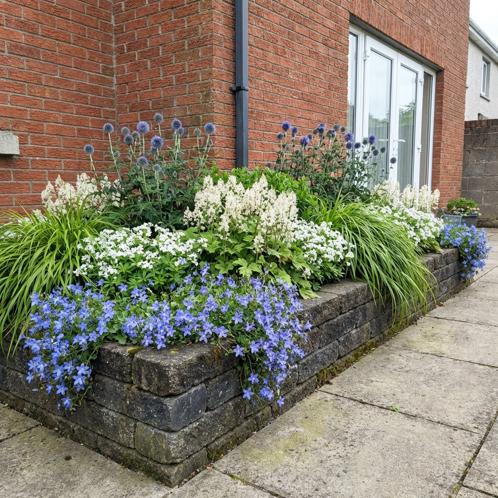Perennial Border Package Vilnius styled in an Irish home interior