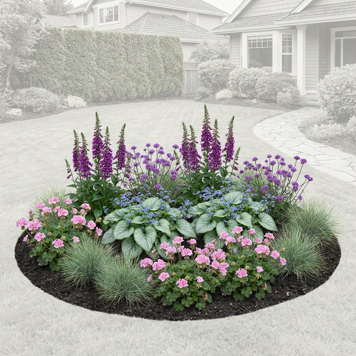 Perennial Border Package Lyon — healthy root ball and nursery pot ready to ship from Ireland